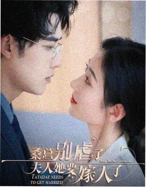 追光的日子